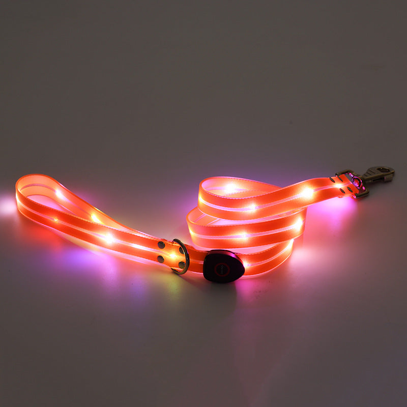 Pet LED Rechargeable Collar