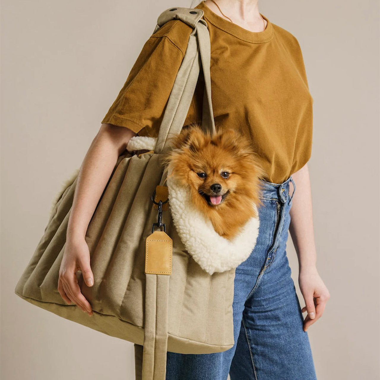 Pet carrier bag