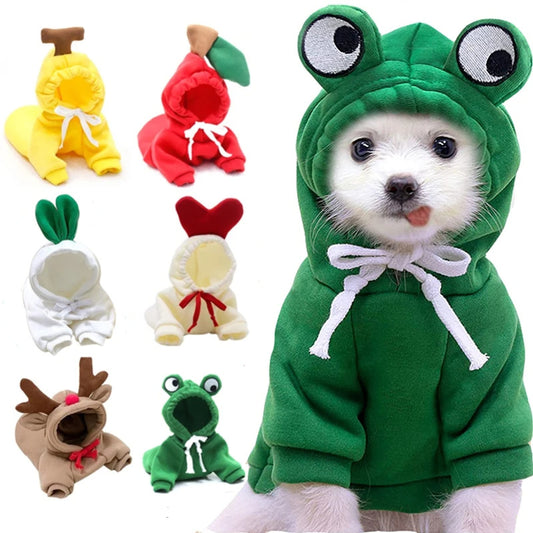 Dog winter hoodie