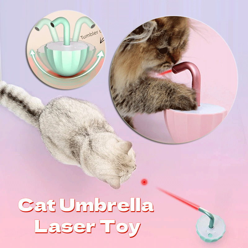 Pet Chargeable Laser Toy